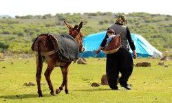 Türkiye’de kırsal nüfus azalıyor, şehirleşme artıyor