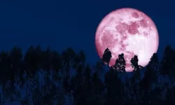 2026 Pembe Dolunay ne zaman görülecek?