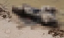 Afyonkarahisar’da kayıp yaşlı kadın ölü bulundu