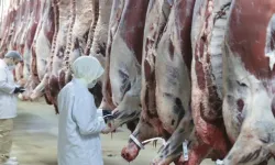 Et fiyatında manipülasyon operasyonu: 30 gözaltı