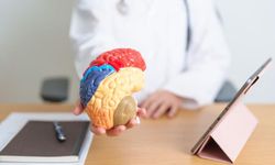 Hareketsiz yaşam beyni küçültebilir: Egzersiz zihni koruyor