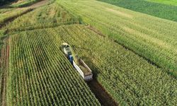 Kırsalda kalkınmaya 3 yılda 65,5 milyar lira