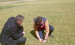 Kütahya Aslanapa’da zarar gören ekili alanlar incelendi