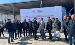 Bandırma’da damızlık koç satışına yoğun katılım