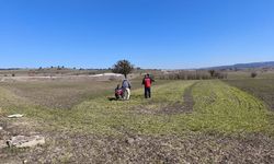 Kütahya demonstrasyon alanlarında buğday ve arpa gözlemi yapıldı