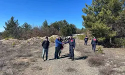 Kütahya Tavşanlı’da jandarma ekipleri kayıp buzağıları buldu