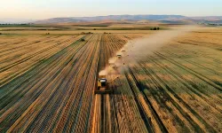 Tarım piyasalarında tedarik zinciri yavaşlıyor