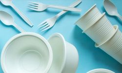 Tek kullanımlık bazı plastik ürünlerde kısıtlama başlıyor