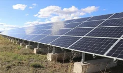 1 dönüme kaç güneş paneli sığar?