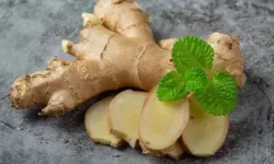 Günde bir dilim zencefilin faydaları