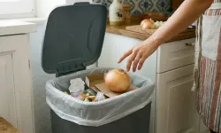 Çöp kutusundaki kokuyu sıfırlayan soğan yöntemi