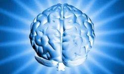 Dünyanın en yüksek IQ'suna sahip ülkeleri belli oldu