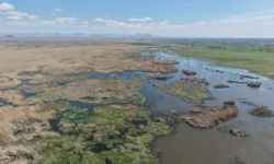 Eber Gölü’nde su seviyesi üç kat arttı
