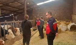 Gediz’de hayvanlara aşılama ve küpeleme yapıldı