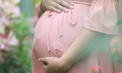 Her gebeye bir ebe başvurusu nasıl yapılır