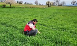 Kütahya Hisarcık’ta haşhaş ve hububat çalışmaları