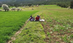 Kütahya Hisarcık’ta tarımsal saha çalışmaları yürütüldü