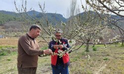 Kütahya Şaphane’de zirai don kontrolleri tamamlandı