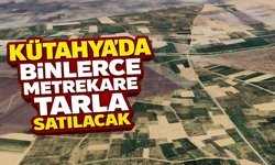 Kütahya’da binlerce metrekarelik tarla, ihale ile satılacak