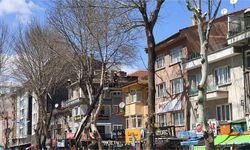 Kütahya’da ekipler, ağaçları budadı, temizlik yaptı