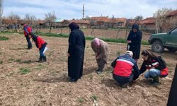 Kütahya’da İyi Tarım Uygulamaları eğitimi ve fidan kontrolü yapıldı