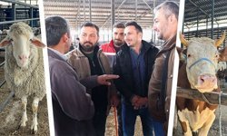 Kütahya’da kurbanlık fiyatlarında son durum