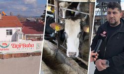 Kütahya’da kurbanlık hayvan alışverişi başladı