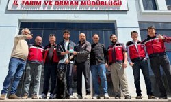 Kütahyasporlu Ender'in minik dostu Nora’ya sağlık bakımı