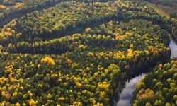 Kuzey Denizi’nde 16 bin yıllık orman izleri keşfedildi