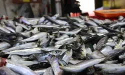 Nisan ayında hangi balıklar tüketilmeli