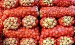 Soğan ihracatı ilk çeyrekte 15 kat arttı