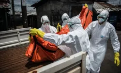 DSÖ'den Ebola için küresel acil durum