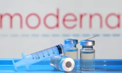 Eve giren sineklerin nedeni ortaya çıktı