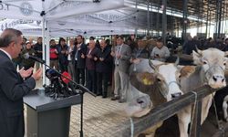 Kütahya canlı hayvan pazarı dualarla açıldı