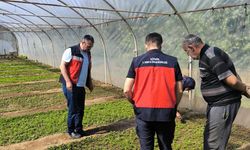 Kütahya Emet’te seracılık üreticilerine teknik destek