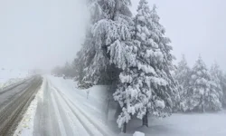 Kütahya'da bir mahalle beyaza büründü