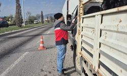 Kütahya’da canlı hayvan nakillerine yol denetimi