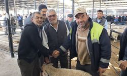 Kütahya’da canlı hayvan pazarında hareketlilik arttı
