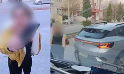 Kütahya’da sahipsiz köpeklerin toplanmasına engel oluyorlar
