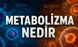 Metabolizma kelimesinin kökeni ve gerçek anlamı