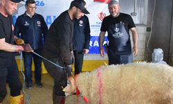 TDV’den Afyonkarahisar’da Kurban organizasyonu