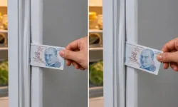 Buzdolabındaki bu test faturanızı düşürebilir