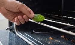 Fırına koyacağınız birkaç nane yaprağı kötü kokuları önlüyor