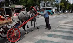 Kütahya'da kaçan fayton atı trafiği birbirine kattı