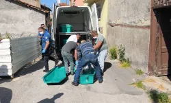 Kütahya'da dehşet evi!.. Annesinin cesediyle yaşamış