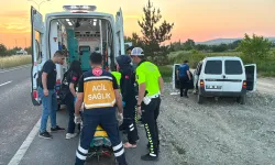 Kütahya’da hafif ticari araç ağaca çarptı, sürücü yaralı