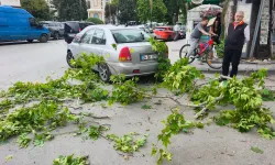 Kütahya’da park halindeki otomobile ağaç parçası düştü