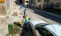 Kütahya’da Yüksek Kahve çevresi temizlendi