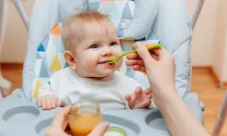 Yemek seçiciliği ek gıda döneminde şekillenebilir