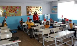 2026 ilkokul kayıt işlemleri ve okul sorgulama